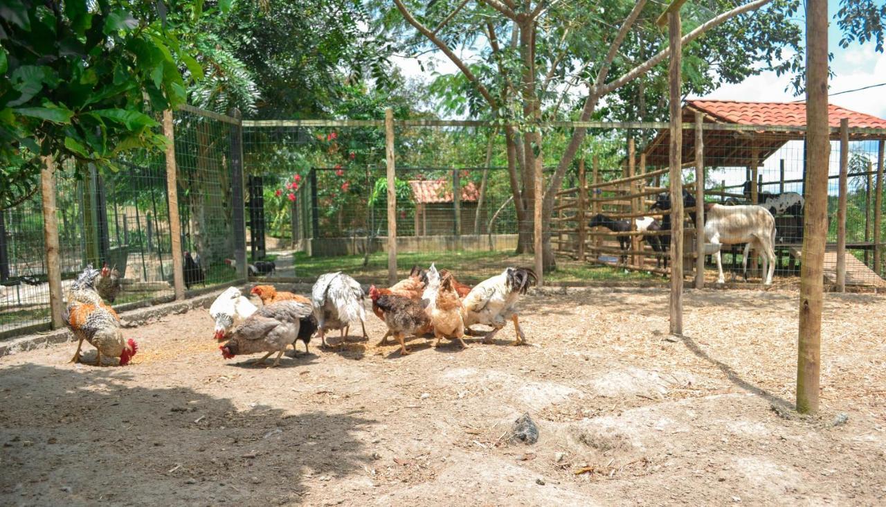 Chacara Maluco Beleza 2 Villa กราวาตา ภายนอก รูปภาพ