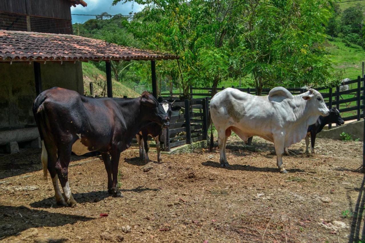 Chacara Maluco Beleza 2 Villa กราวาตา ภายนอก รูปภาพ